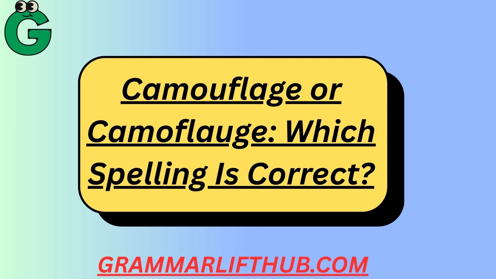 Camouflage or Camoflauge