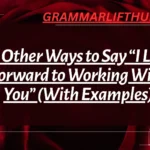 Other Ways to Say “I Look Forward to Working With You
