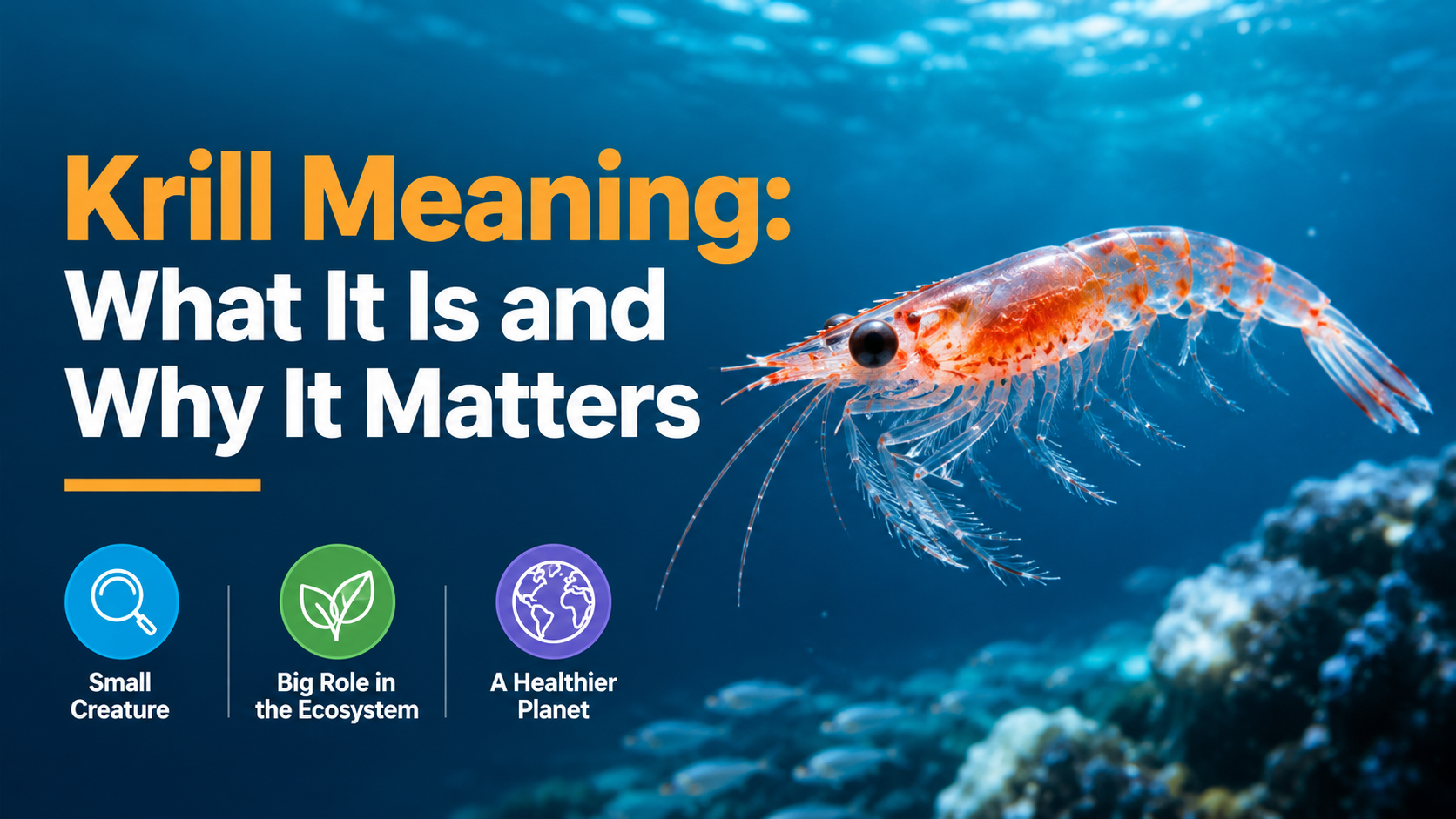 Krill Meaning: What It Is and Why It Matters