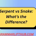 Serpent vs Snake