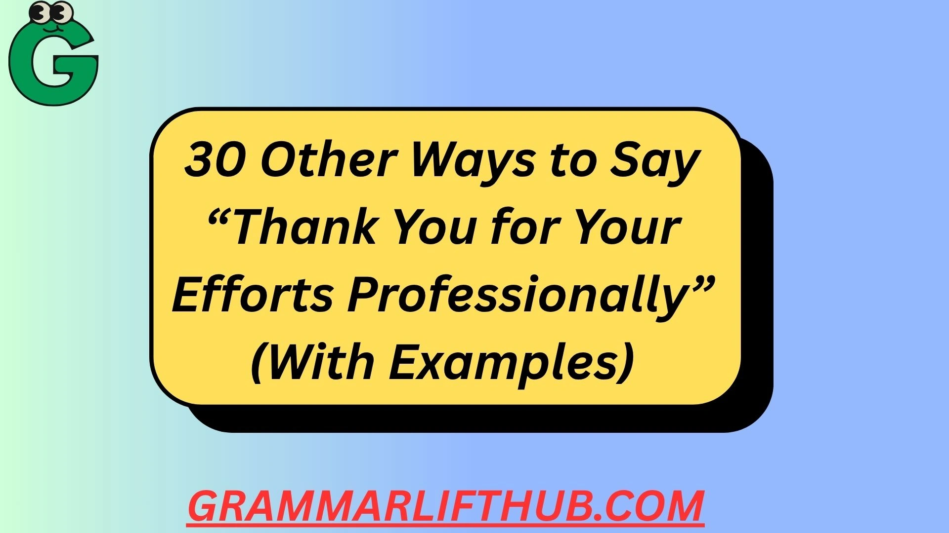 Thank You for Your Efforts Professionally