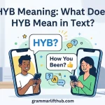 HYB Meaning: What Does HYB Mean in Text?