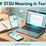 STSU Meaning in Text